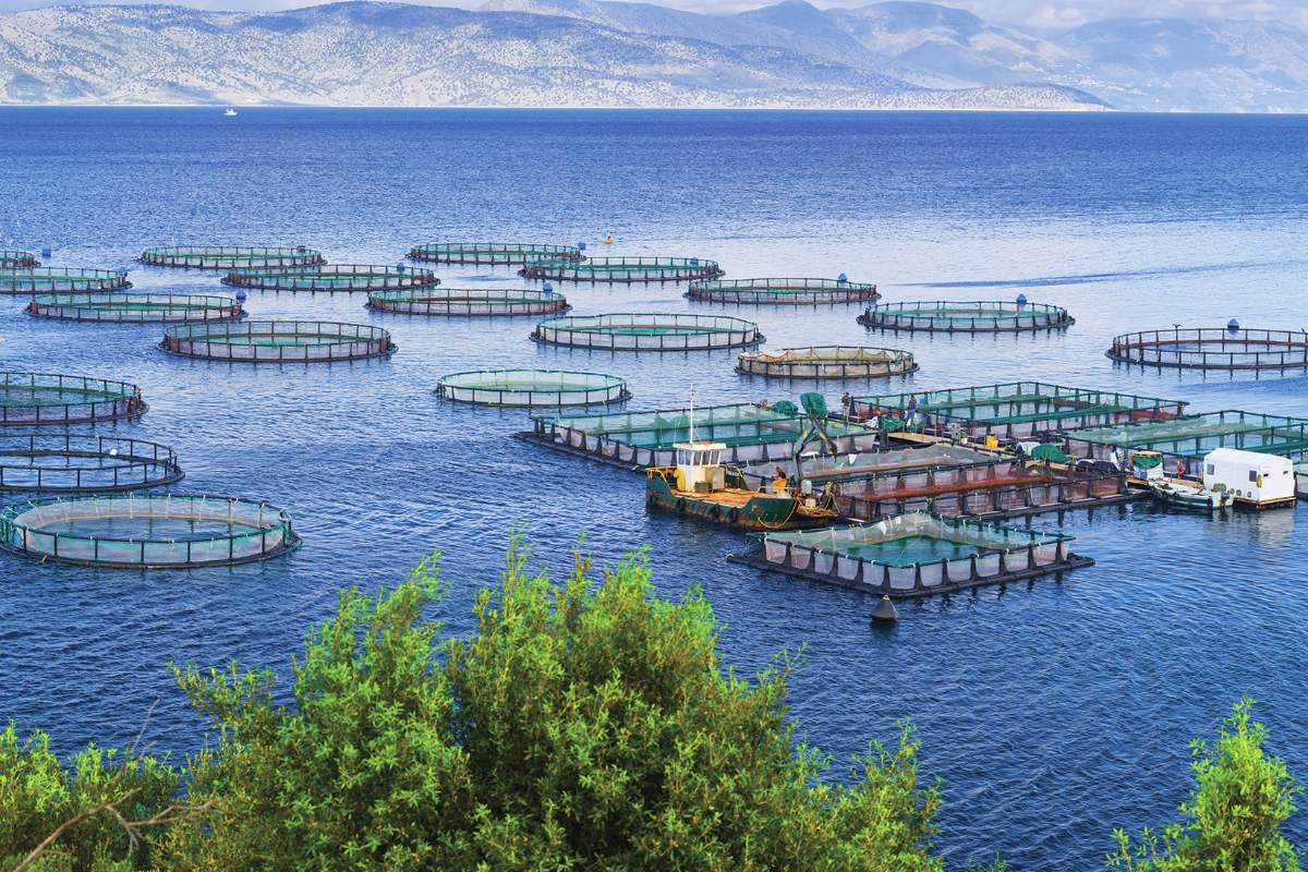 PEST Analysis of the U.S. Aquaculture Chemical Market