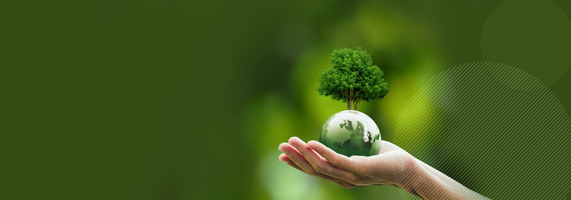 Kenya Carbon Credit Market to Grow at Highest Pace Owing to Forestry Project Expansion
