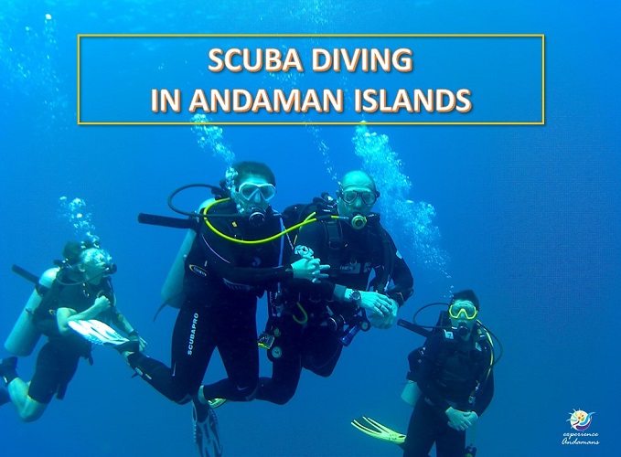 Why Scuba Diving in Andaman is Perfect for Beginners