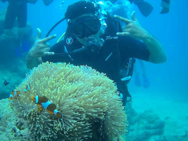 Beneath the Blue Scuba Diving in Andamans Secret Worlds