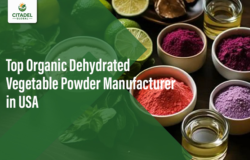 Top Organic Dehydrated Vegetable Powder Manufacturer in USA