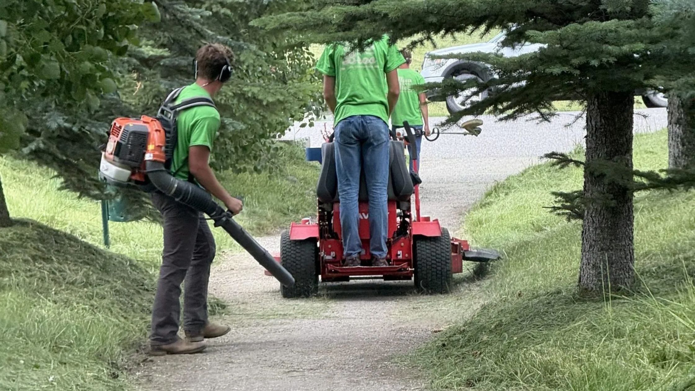 Why Local Lawn Care Services Are Essential for a Beautiful and Improved Yard?