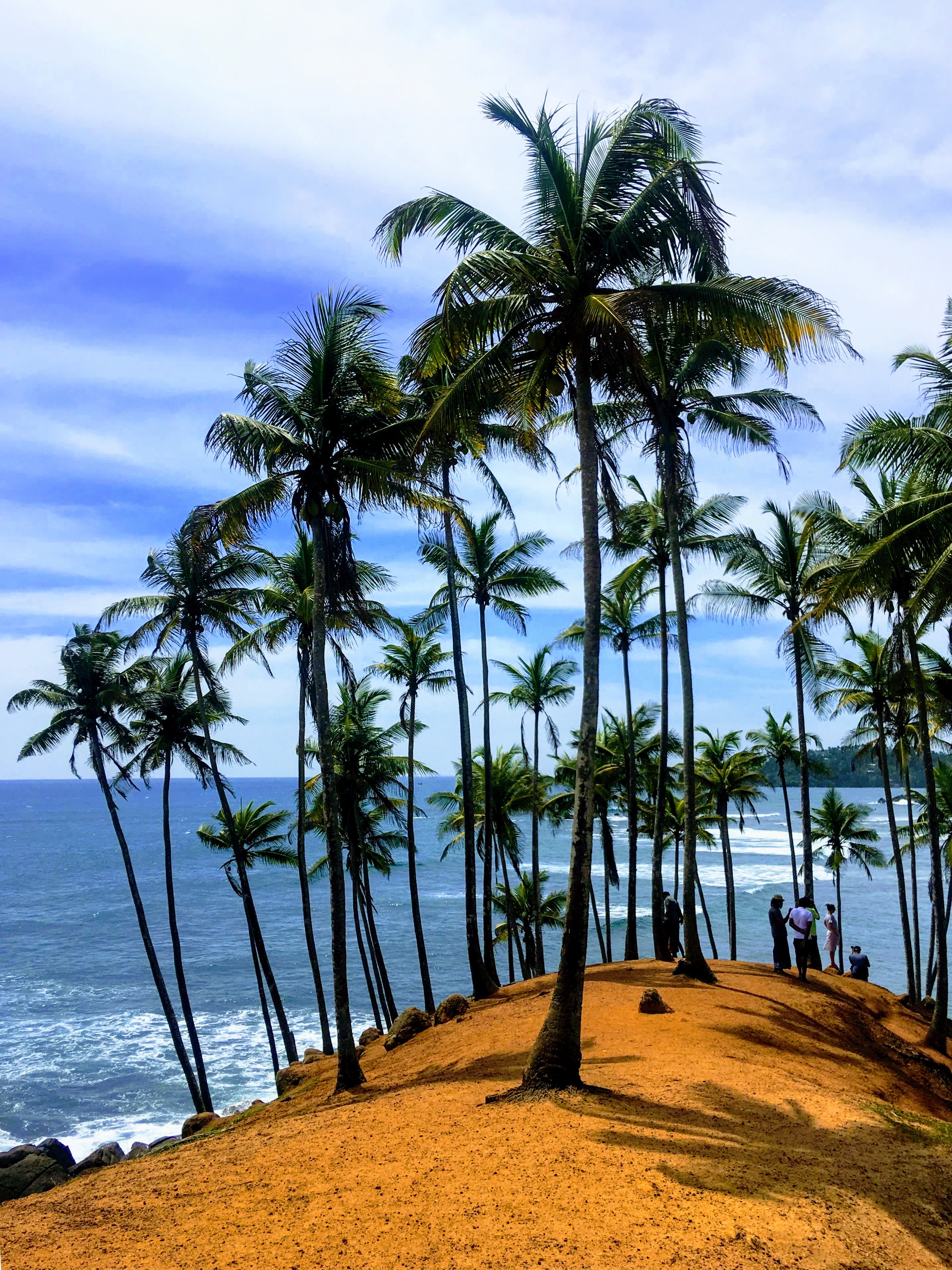 Coconut Tree Hill Mirissa