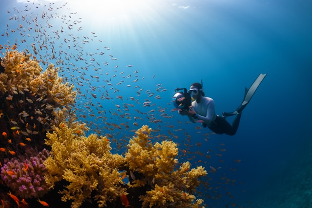 Scuba Diving Activities in Neil Island with Dive Andaman