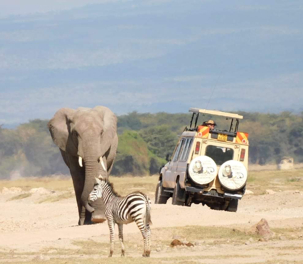 Adventure Family Holiday Safaris