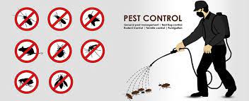 Factors to Get Pest Control Inspections