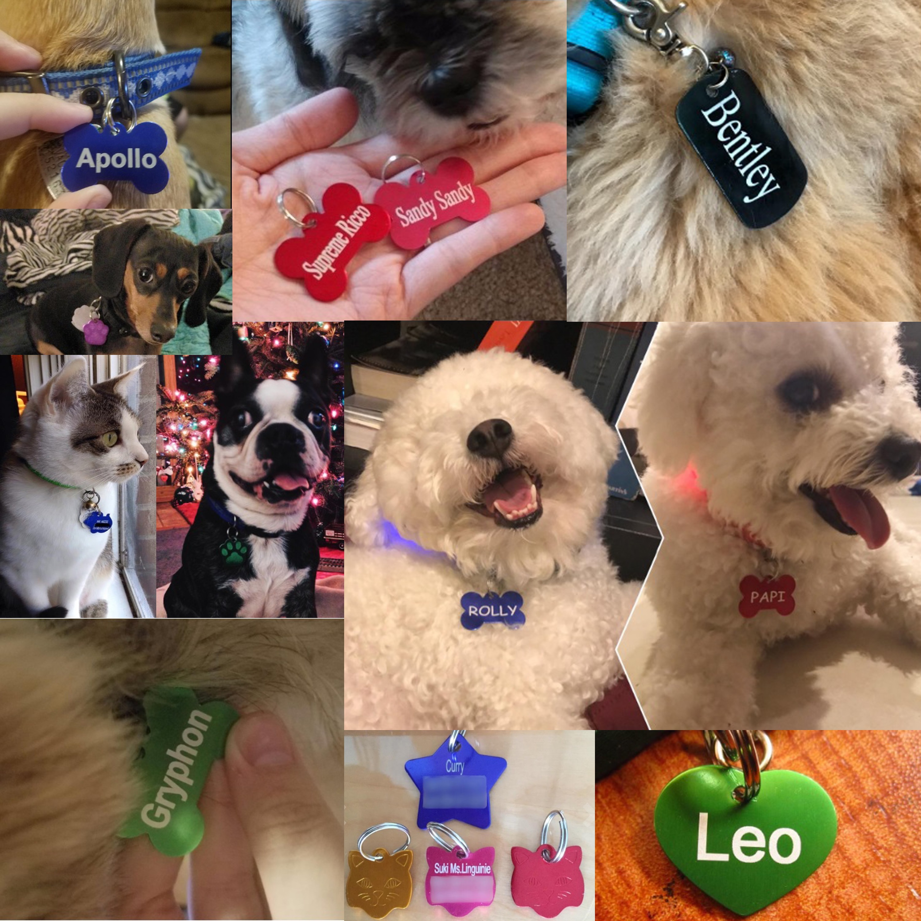 Comprehensive Guide to Pick the Best Dog Tags