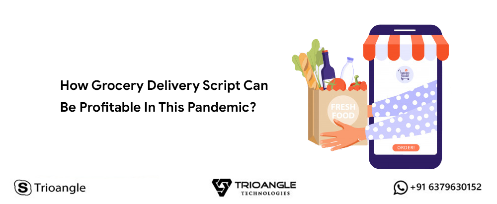How Grocery Delivery Script Can Be Profitable In This Pandemic?