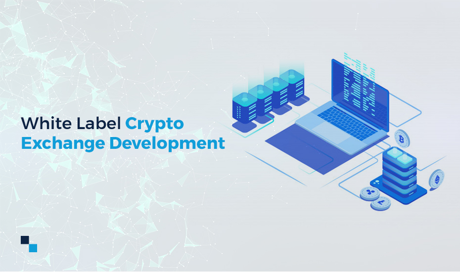 Get White Label Crypto Exchange Development Services at Reasonable Prices