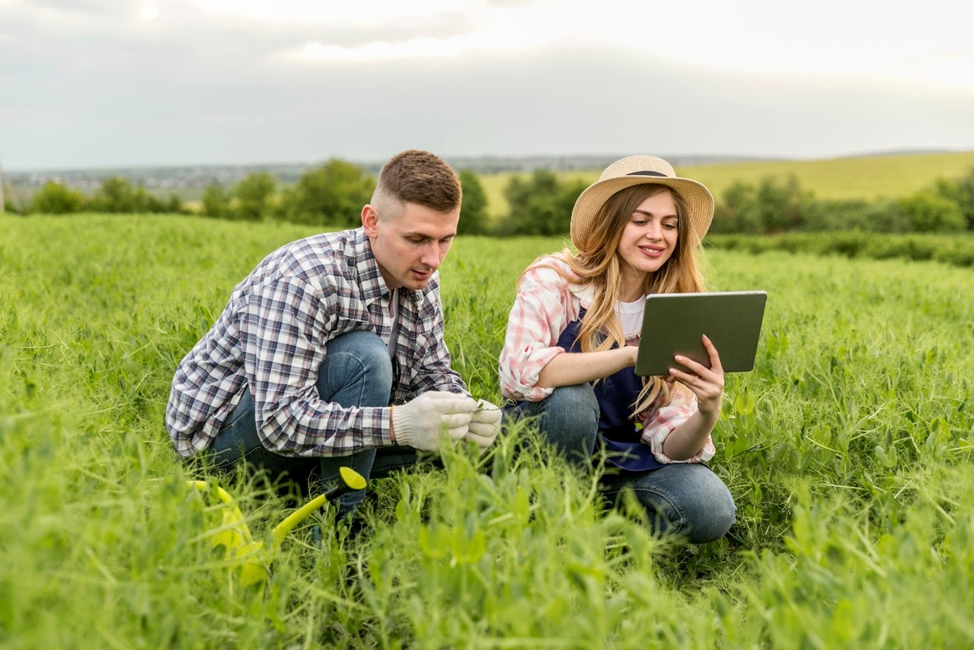 Top Tips to Improve Your Chances of Farm Loan Approval