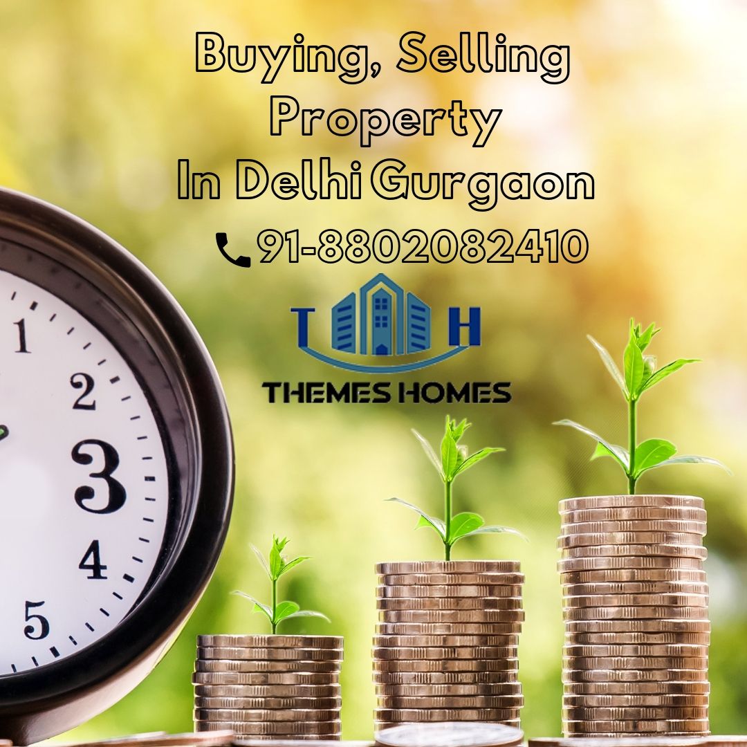 Themes Homes - Best Property In Delhi, Gurgaon