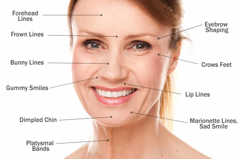 Dermal Fillers Market Size, Research Development, Share and Forecast to 2028 Including Covid19 Impact