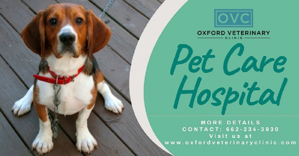 Crossroad Pet Emergency Vet Treatment | Oxford MS