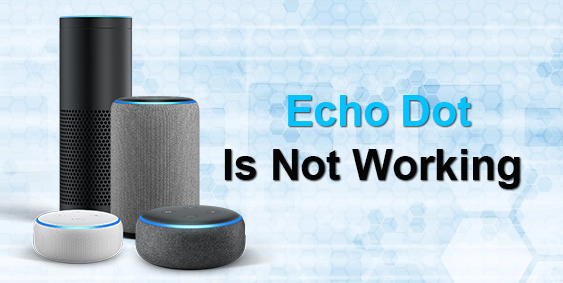 Echo Dot Setup Not Working