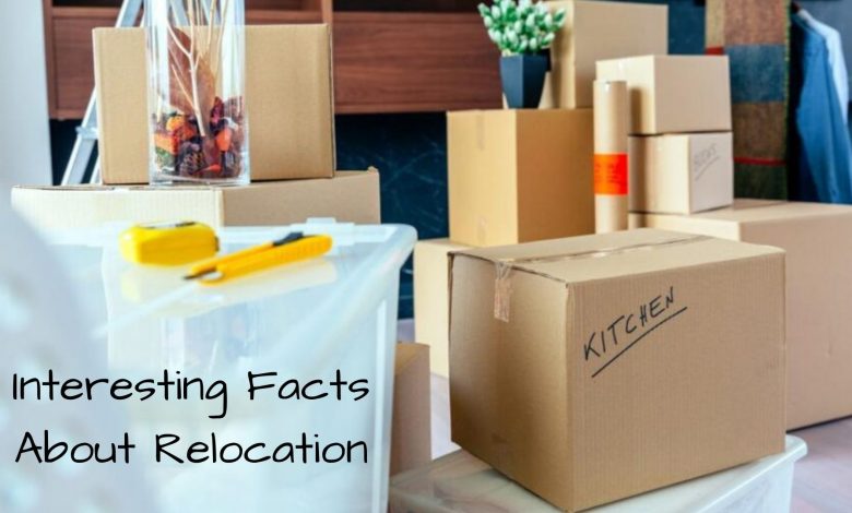 12 Interesting Facts About Relocation that You May Not Know