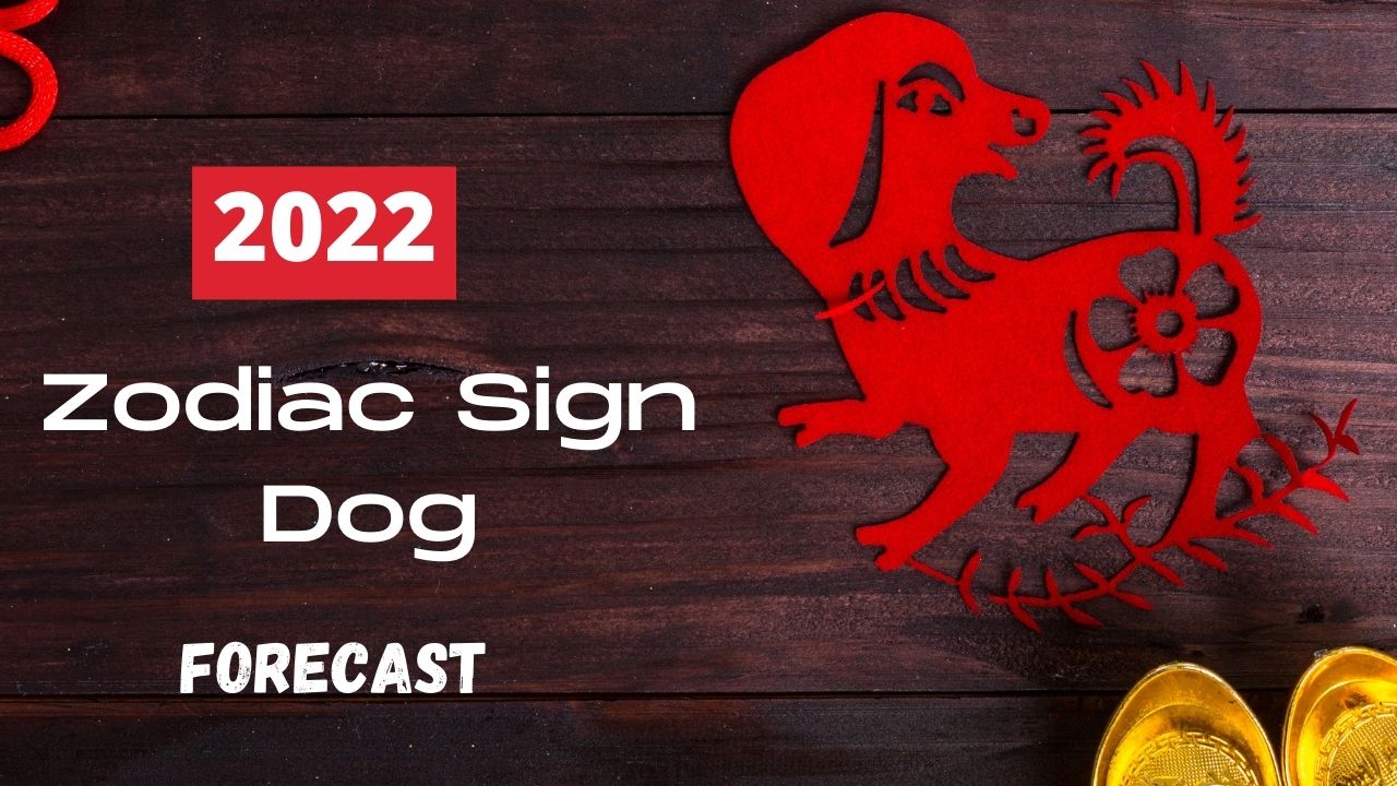 Complete Dog Chinese Zodiac Animal Sign Forecast 2022