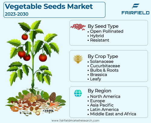 Vegetable Seeds Market Size, Trends and Its Emerging Opportunities Through 2030