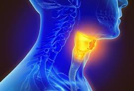 Laryngeal Cancer Therapeutics Market Size, Share, Growth, Opportunities and Global Forecast to 2027