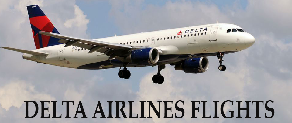 Fly affordably with JetBlue vacation packages!