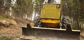 Forestry Equipment Market Dynamics: Drivers, Restraints, and Future Outlook