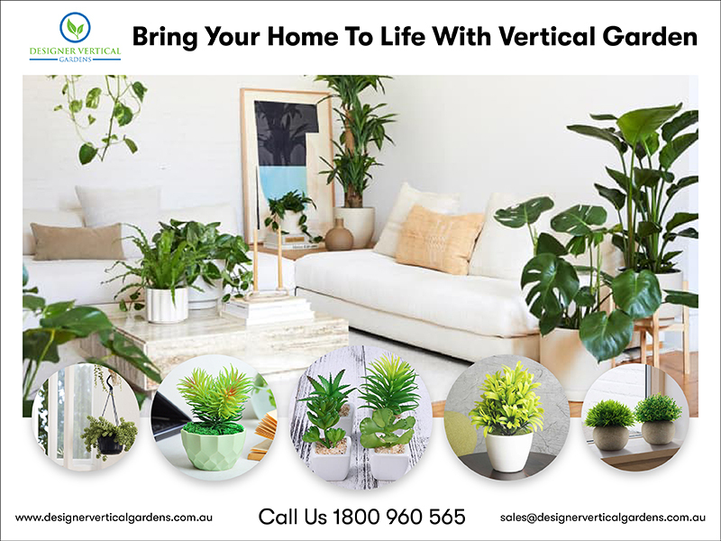 Bring Your Home To Life With Vertical Garden
