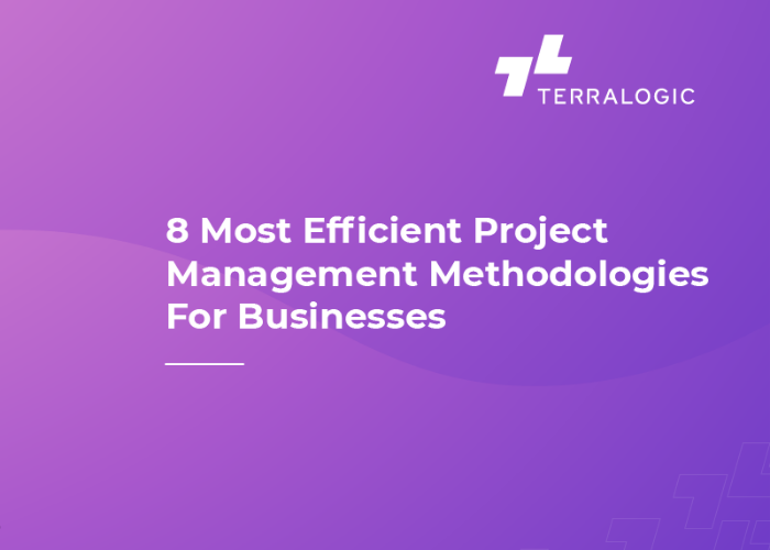 8 Most Efficient Project Management Methodologies For Businesses