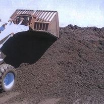 Everything You Need To Know About Termites In Your Mulch Zupyak