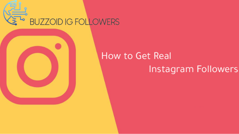 BuzzoidIGFollowers Best Websites To Buy Instagram Followers in 2021