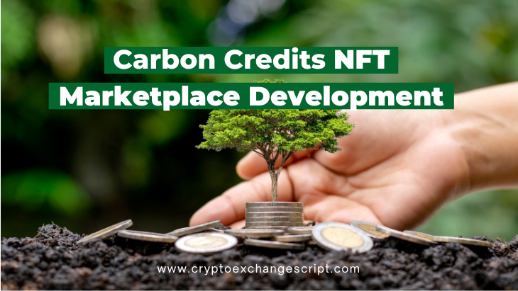 Guide to Launch Carbon Offset NFT Platform