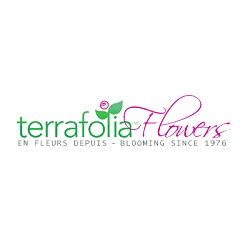 Fleuriste Terrafolia Flowers