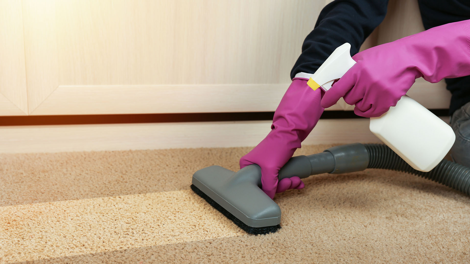 same day carpet cleaning service