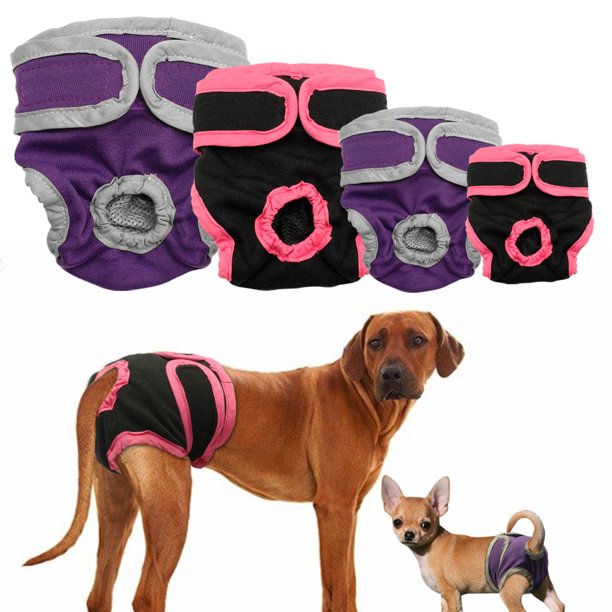 Dog Diapers Market Drivers, Restraints and Challenges Analysis Report 2021-2027