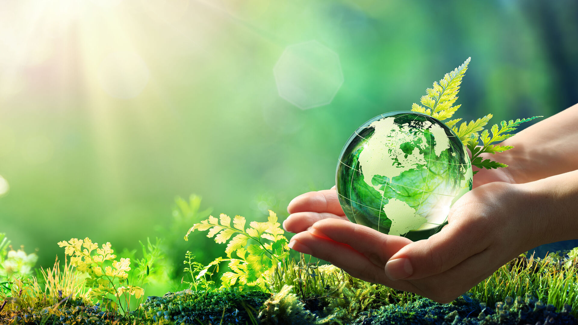 Green Technology and Sustainability Market to Reach US$ 14.28 billion by 2022