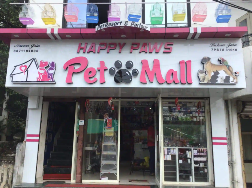 Things to Consider Before You Buy Happy Pawz for Pets
