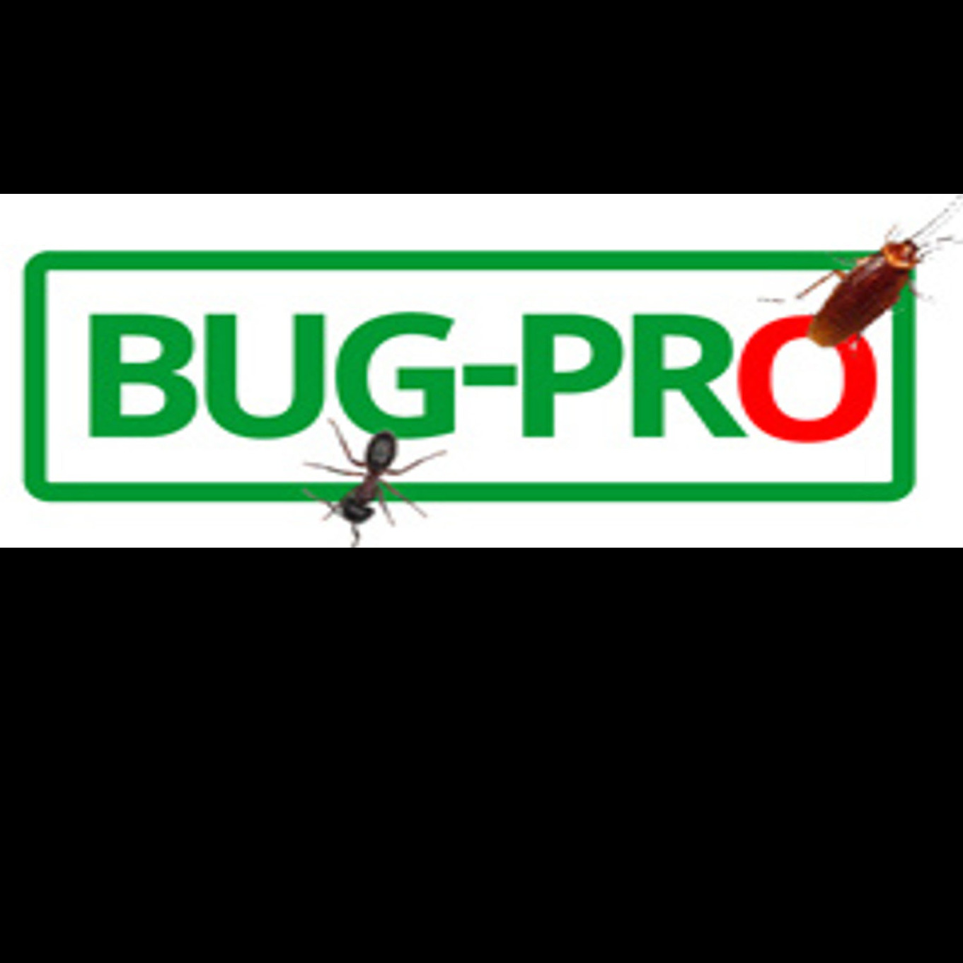 Say Goodbye to Pests: Expert Pest Control Services in Nigeria