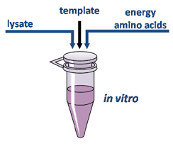 Cell Free Protein Expression Market Size, Share, Regional Overview and Global Forecast to 2028