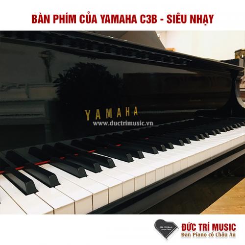 1 cây đàn piano giá bao nhiêu? - Những điều cần biết về giá piano