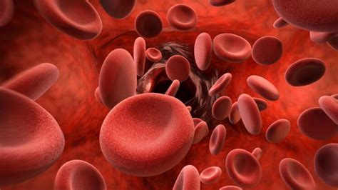 Sickle Cell Anemia Market 2022 Global Trends, Size and Forecast Report to 2028