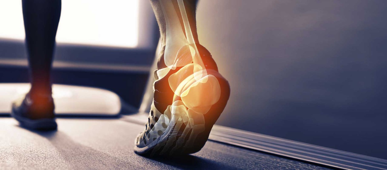 Why Joints are so Important?