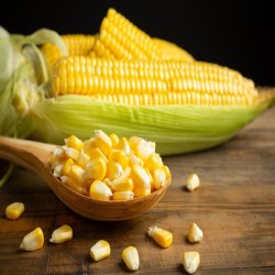 Corn Protein Market Size, Share, Growth, Opportunities and Global Forecast to 2028