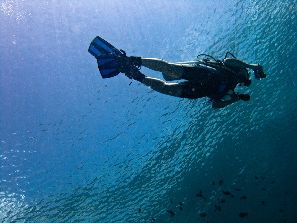 Scuba Diving Books