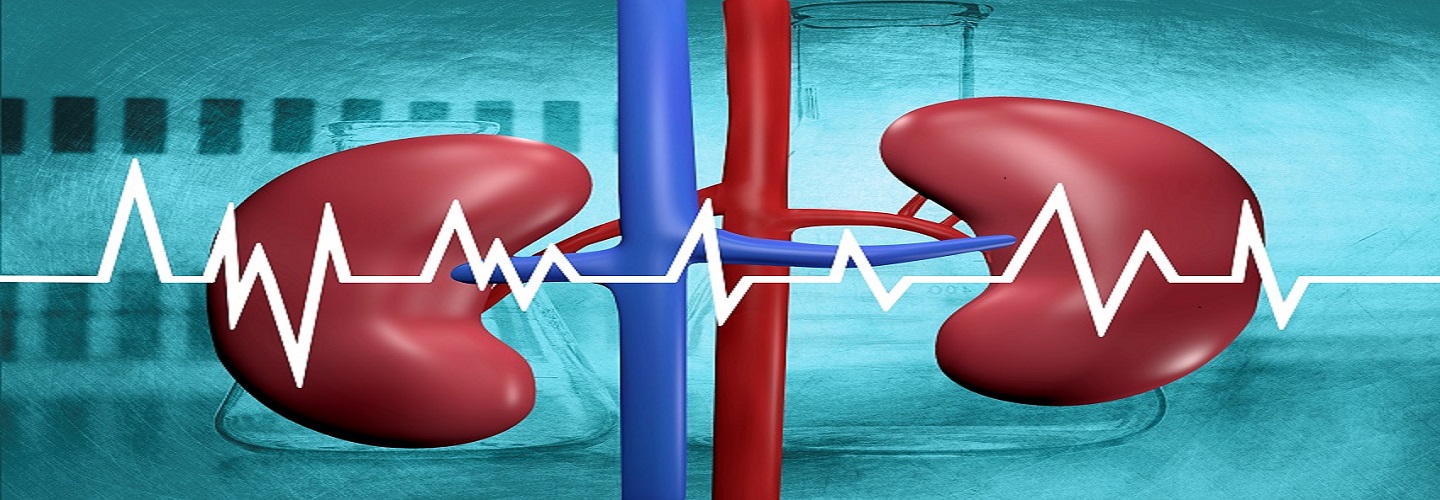 Kidney Function Tests Market Promising and High-growth Technology Opportunities for Forecast, 2030