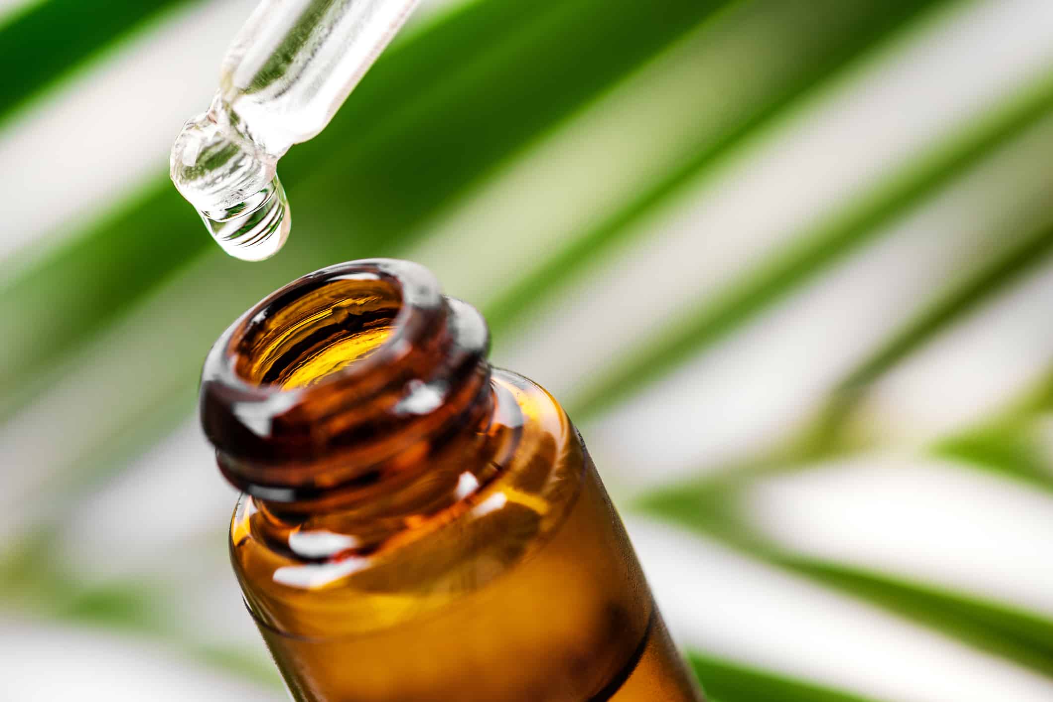 Global Liquid Nutritional Supplement Market Size, Share, Latest Trades and Growth Analysis Report Till 2028