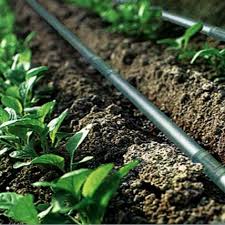 Drip Irrigation Market 2022 Size, Growth & Forecast Report to 2028