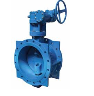 Double Offset Butterfly Valve Manufacturer in the USA