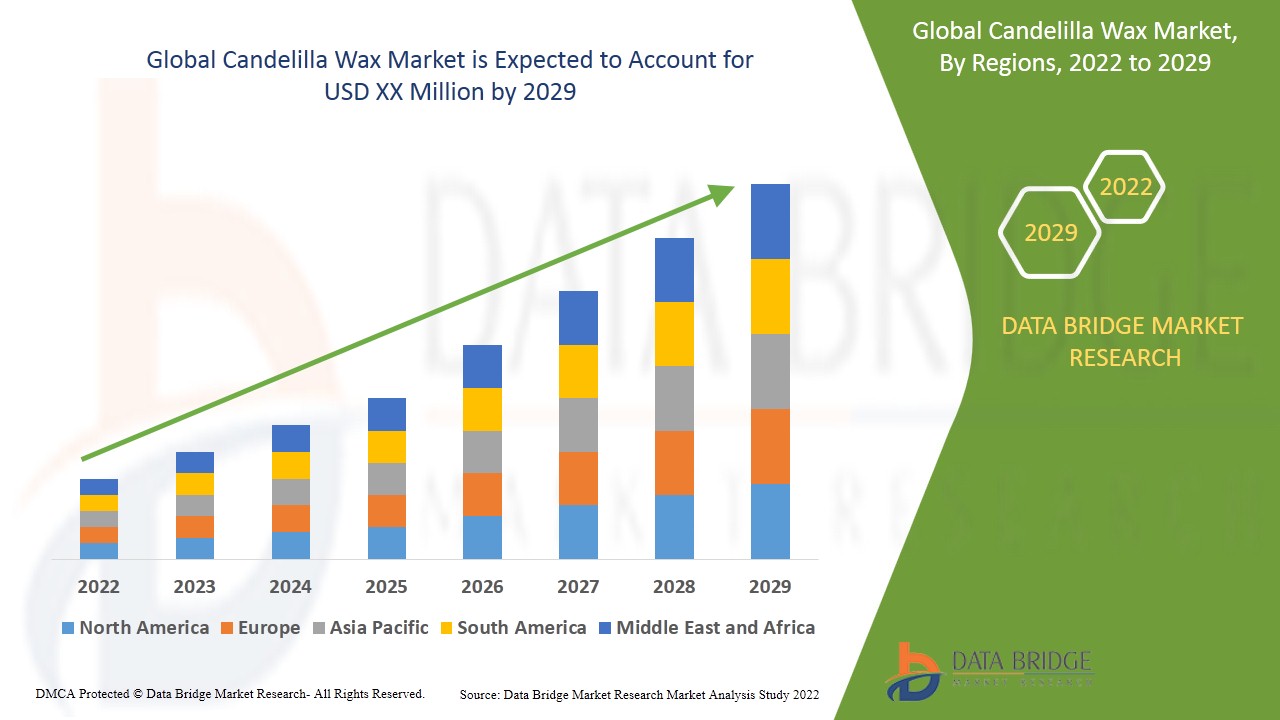 Global Candelilla Wax Market Trends, Leading Players, and Business Insights