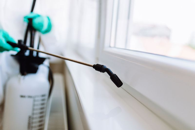 HOW OFTEN DOES YOUR HOUSE NEED PEST CONTROL?
