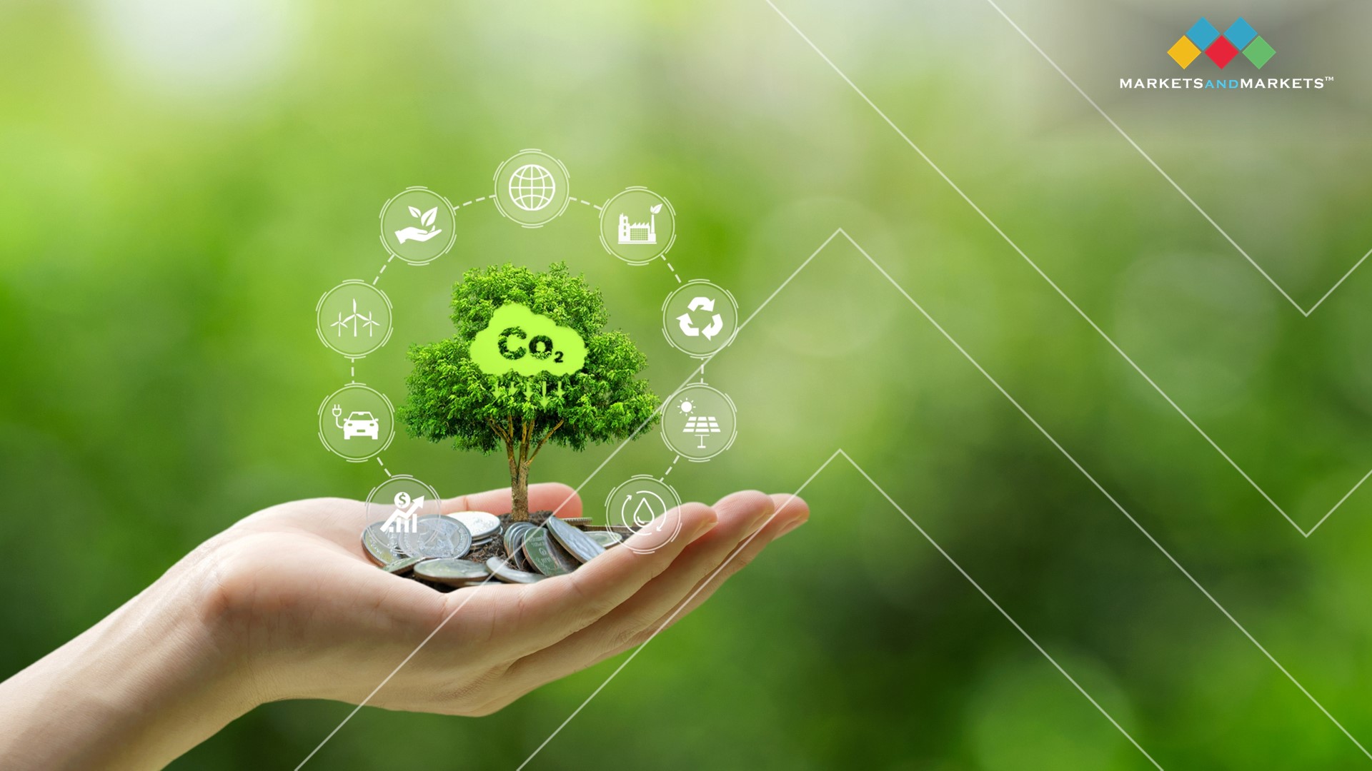 Developing Nations Eye Revenue as Global Carbon Credit Market Nears $1.6 Trillion