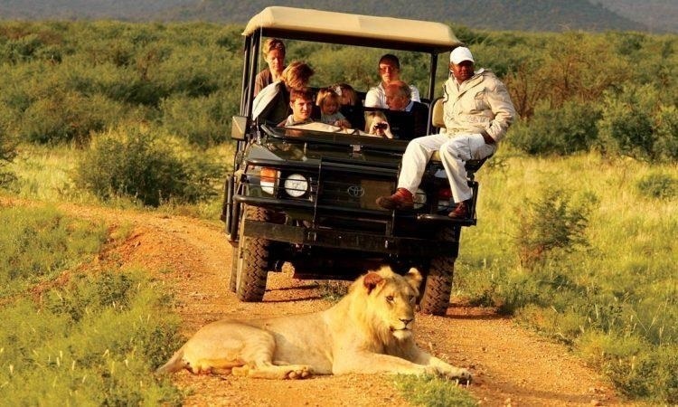 A Guide to choose the best Wildlife Safari packages in Africa