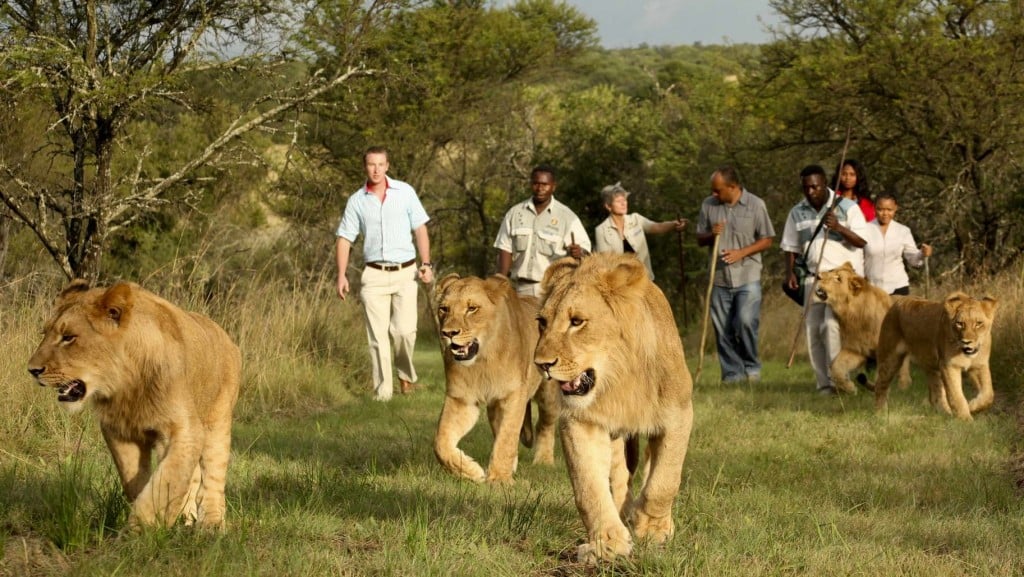 Rwanda Holiday Destination – Discover Life Changing Experience!